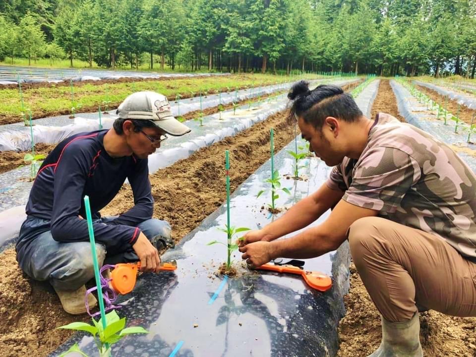 Field training