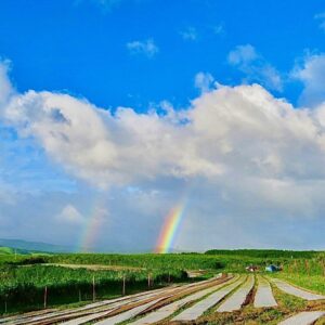 rorganic-smile-image-rainbow grow on the earth"有機の学校”ORGANIC-SMILE